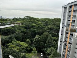 Blk 117 Sunset Way Residence (Clementi), HDB 4 Rooms #561535841